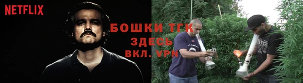 гидра Богородск
