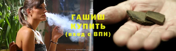 гидра Богородск