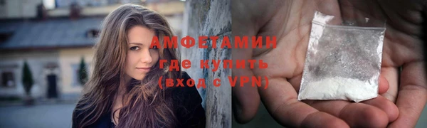 гидра Богородск