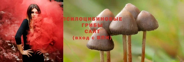ПСИЛОЦИБИНОВЫЕ ГРИБЫ Богданович