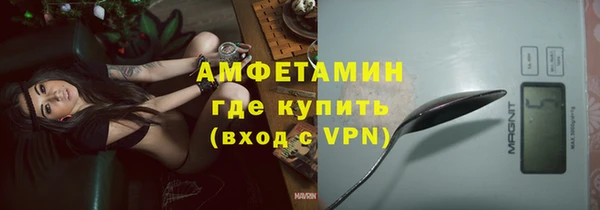 гидра Богородск