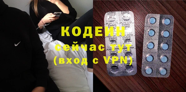 ПСИЛОЦИБИНОВЫЕ ГРИБЫ Богданович