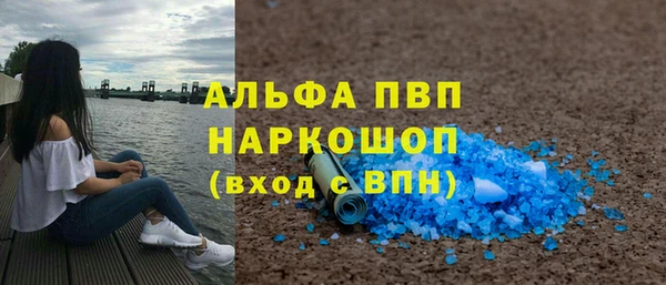 гидра Богородск