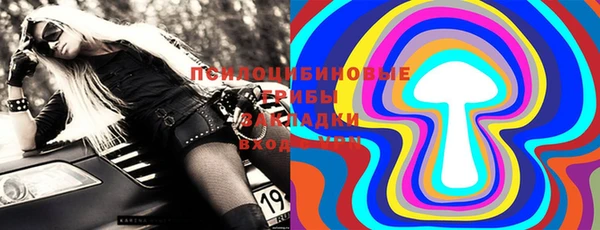 ПСИЛОЦИБИНОВЫЕ ГРИБЫ Богданович