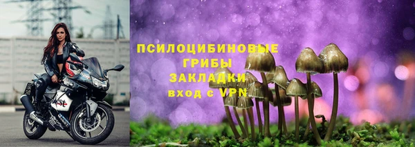 не бодяженный Богородицк